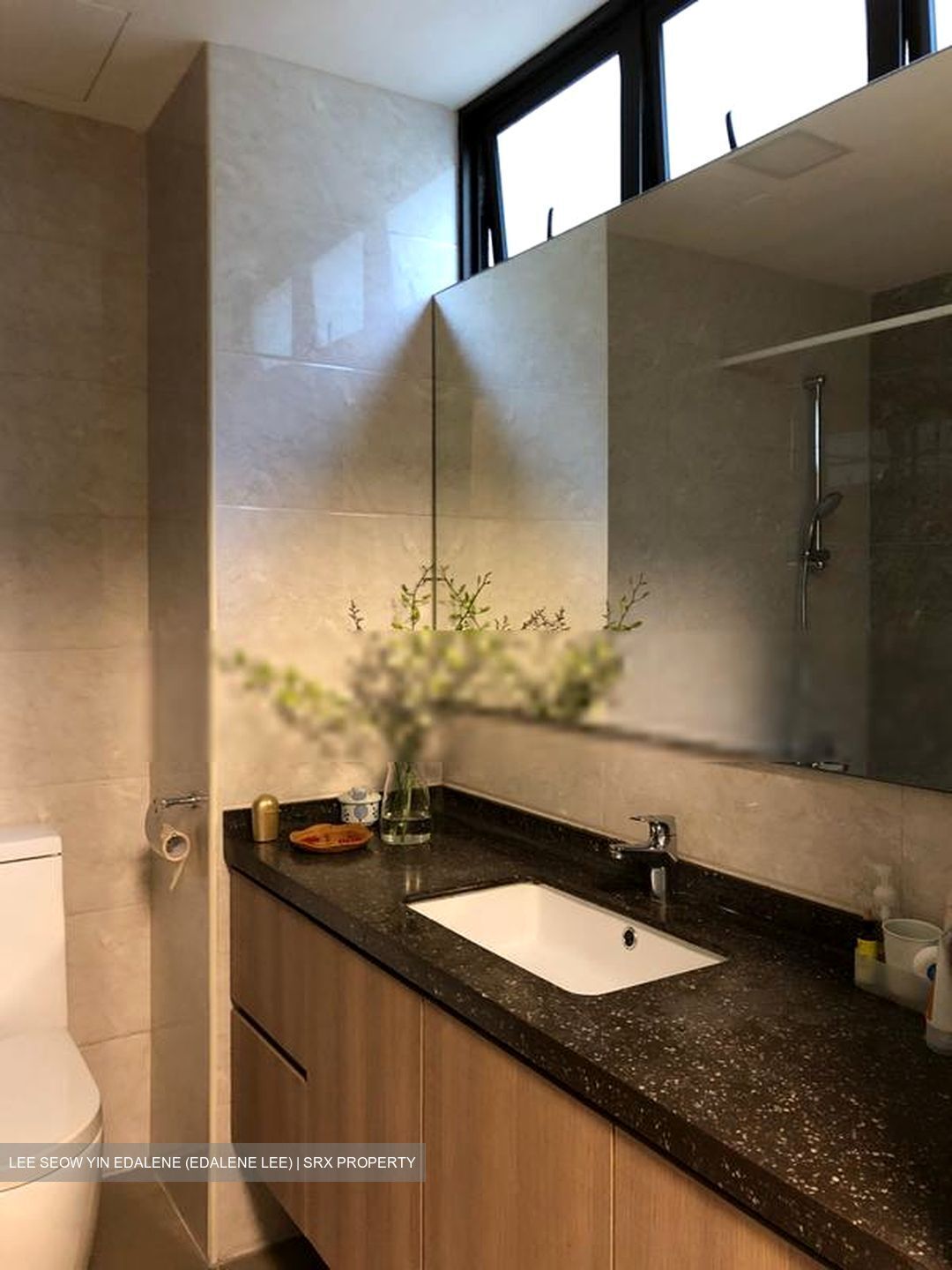 Sommerville Park (D10), Condominium #592165081